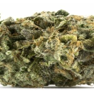 northern lights strain